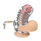 Gabbia per pene in metallo
