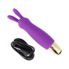 Vibratore rabbit bullet